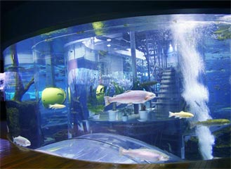 山梨県立富士湧水の里水族館 イメージ